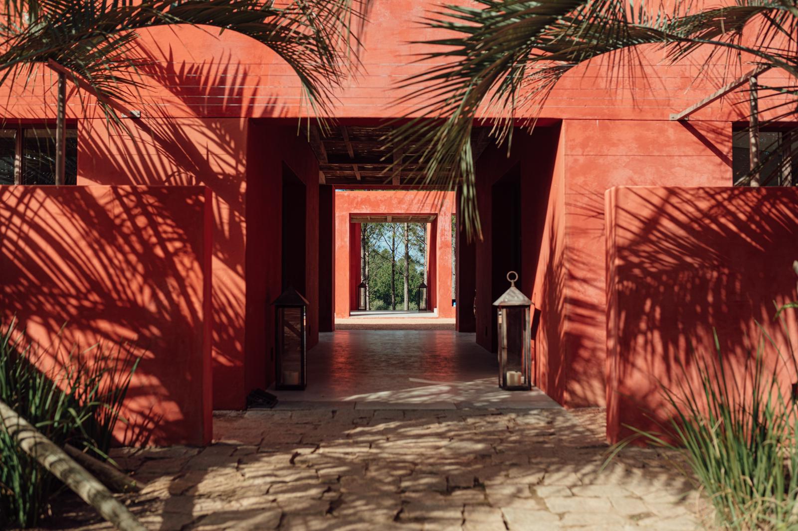 Terracotta house framed by palms